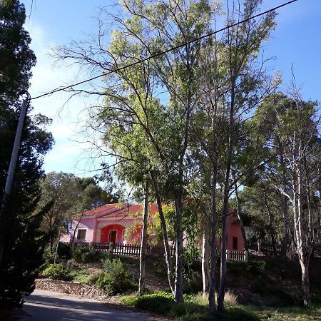 Casas Rurales "Paraje El Cajal" Ojós 외부 사진